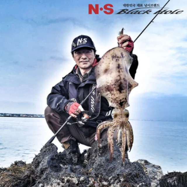 NS블랙홀 다크호스2 에깅 무늬오징어낚시대 S-832M, 2.50m