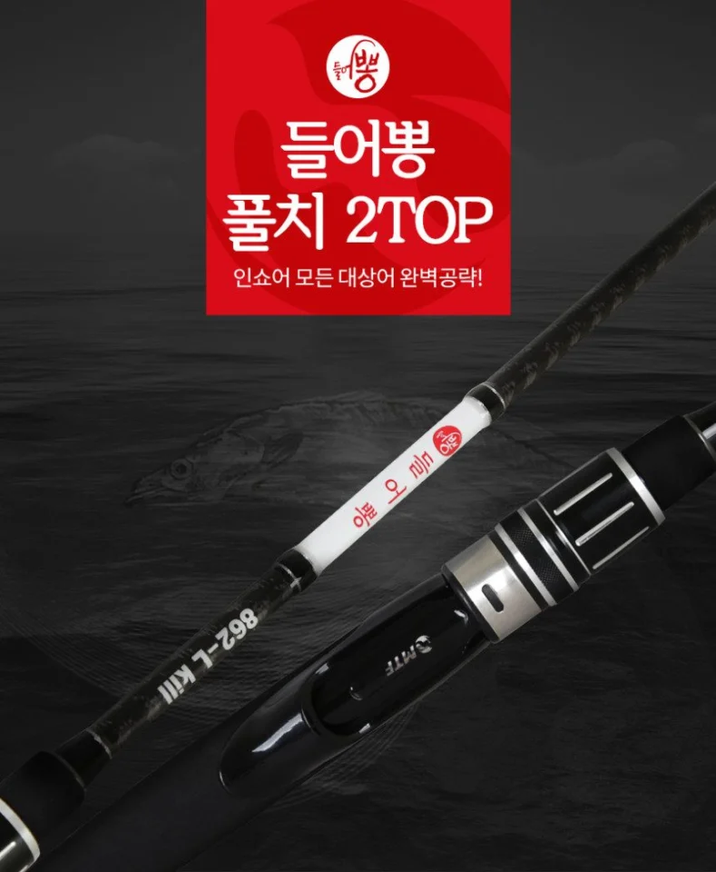 MTF 들어뽕 2TOP 락피쉬 풀치 연안갈치 농어 우럭 에깅 낚시대 S-862L